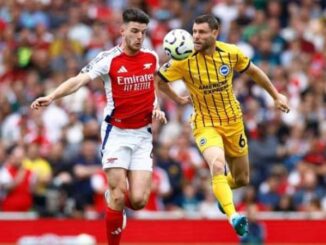 Download Arsenal vs Brighton 1-1 Highlights | Premier League (24/25)